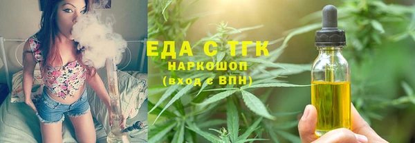 шишки Каменка