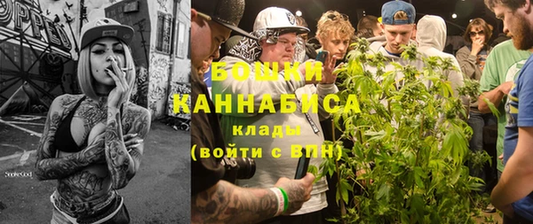 шишки Каменка
