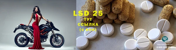 Альфа ПВП Инсар