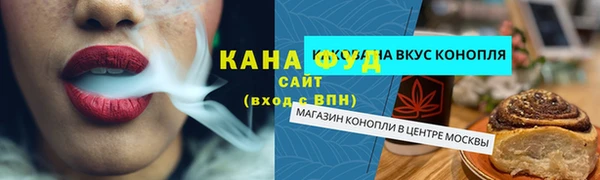Альфа ПВП Инсар