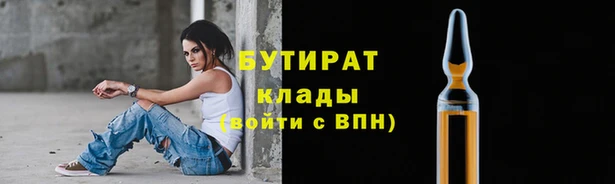 шишки Каменка