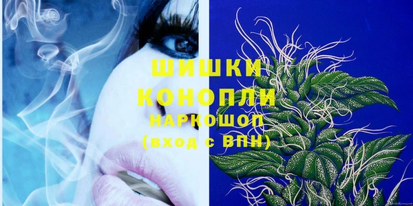 стаф Каменск-Шахтинский