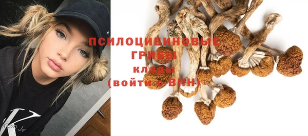 шишки Каменка