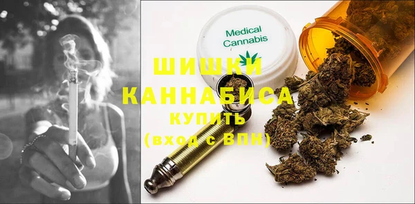 Альфа ПВП Инсар