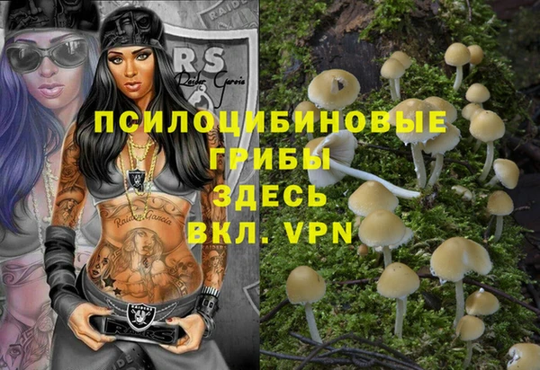 Альфа ПВП Инсар