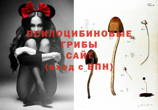 мяу мяу кристалл Каменногорск