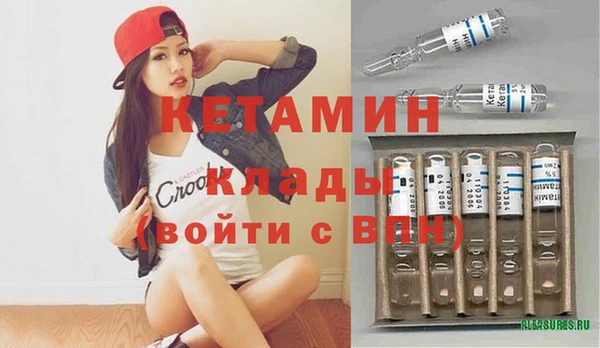 шишки Каменка