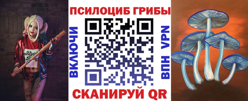Галлюциногенные грибы Magic Shrooms  Купить где  Енисейск 